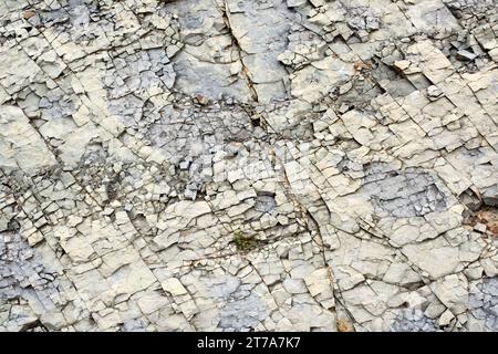 Calcaire (roche sédimentaire carbonée) avec structure polygonale. Cette photo a été prise à Riba de Santiuste, Guadalajara; Castilla-la Mancha, Espagne. Banque D'Images