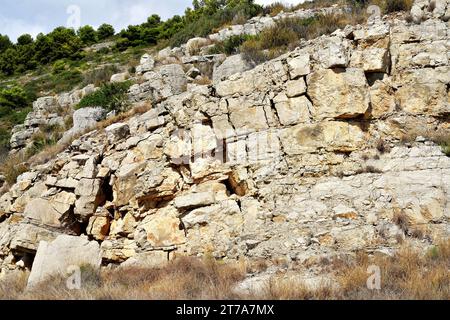 Calcaire (carbonate de roche sédimentaire) avec des joints. Cette photo a été prise dans le Parc naturel de la Serra d'Irta, Castelló, Comunitat Valenciana, Espagne. Banque D'Images