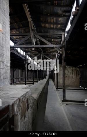 Brzezinka, Pologne - 17 juillet 2023 : intérieur de la caserne Mémorial et musée Auschwitz-Birkena. Ancien camp de concentration et d'extermination nazi de Germani en Pologne Banque D'Images