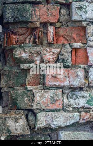 photo en gros plan de feuilles de lierre sur un mur de briques. Banque D'Images