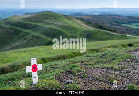 Le 11 novembre, le jour de l'Armistice, un hommage commémoratif, symbole du coquelicot rouge, placé dans le sol au sommet de l'ancien fort Hill, par un marcheur anonyme de colline, le SO Banque D'Images