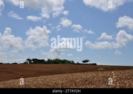 Nahe der kleinen Ortschaft Yport an der Küste der Normandie knn man wunderbar oberhalb der Steilküste wandern und wunderschöne Ausblicke genießen. - N Banque D'Images