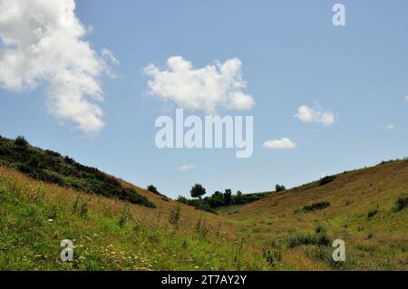 Nahe der kleinen Ortschaft Yport an der Küste der Normandie knn man wunderbar oberhalb der Steilküste wandern und wunderschöne Ausblicke genießen. - N Banque D'Images