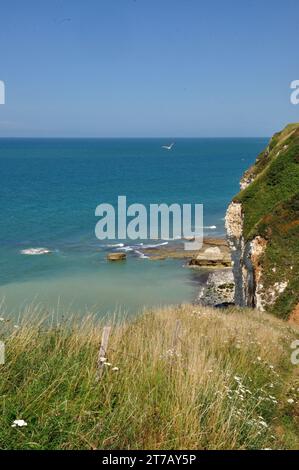 Nahe der kleinen Ortschaft Yport an der Küste der Normandie knn man wunderbar oberhalb der Steilküste wandern und wunderschöne Ausblicke genießen. - N Banque D'Images