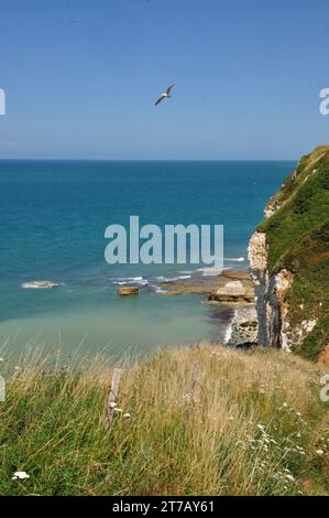 Nahe der kleinen Ortschaft Yport an der Küste der Normandie knn man wunderbar oberhalb der Steilküste wandern und wunderschöne Ausblicke genießen. - N Banque D'Images