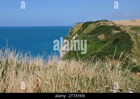 Nahe der kleinen Ortschaft Yport an der Küste der Normandie knn man wunderbar oberhalb der Steilküste wandern und wunderschöne Ausblicke genießen. - N Banque D'Images