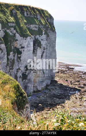 Nahe der kleinen Ortschaft Yport an der Küste der Normandie knn man wunderbar oberhalb der Steilküste wandern und wunderschöne Ausblicke genießen. - N Banque D'Images