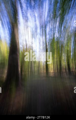 Photo du mouvement intentionnel de la caméra (ICM) d'arbres dans le résumé de forêt, le parc national de New Forest, Hampshire, Angleterre, Royaume-Uni Banque D'Images