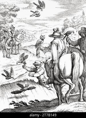 Chasse au faucon en 1684. Illustration ancienne de la nature 1887 Banque D'Images
