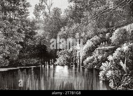 Cenote Uayma Ha, Yucatan, Mexique. Illustration ancienne de la nature 1887 Banque D'Images