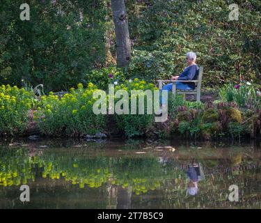 Vue sur les lacs et les plantes à Longstock Water Gardens, Stockbridge, Hampshire, Angleterre, Royaume-Uni par un jour de printemps lumineux. Banque D'Images