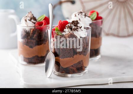 Mousse au chocolat et brownie parfait superposés dans une tasse avec des framboises fraîches Banque D'Images