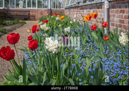 Vue sur le jardin clos à Hinton Ampner, Alresford, Hampshire, Angleterre, Royaume-Uni Banque D'Images