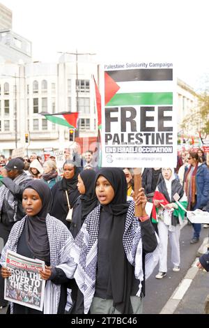 Cardiff, pays de Galles 11 novembre 2023. Marche pour la Palestine. marche pacifique de protestation dans le centre-ville de Cardiff. Banque D'Images