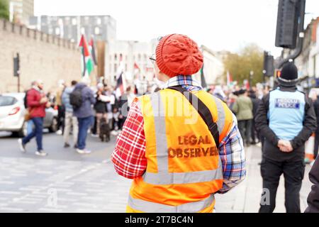 Cardiff, pays de Galles 11 novembre 2023. Marche pour la Palestine. marche pacifique de protestation dans le centre-ville de Cardiff. Banque D'Images