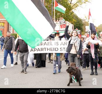 Cardiff, pays de Galles 11 novembre 2023. Marche pour la Palestine. marche pacifique de protestation dans le centre-ville de Cardiff. Banque D'Images