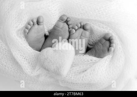 Les pieds de jumeaux nouveau-nés. Deux paires de pieds de bébé en couverture tricotée, coeur tricoté Banque D'Images