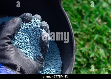 Seau d'engrais chimique bleu en format granulaire prêt à être appliqué sur les plantes de jardin. Concept d'entretien de jardin. Banque D'Images