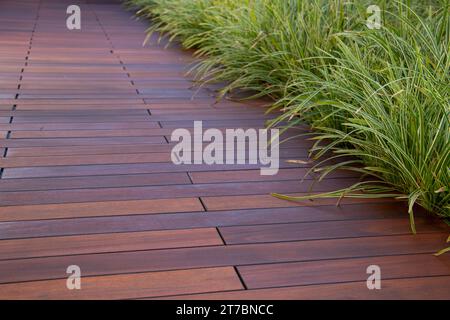 Terrasse en bois franc marron Ipe et gazon décoratif vert Carex « Ice Dance » japonais Sedge Evergreen Banque D'Images