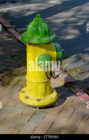 Bouche d'incendie peinte en jaune et vert à Annapolis MD Banque D'Images