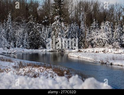 Boy River coulant à travers la forêt de pins de conifères couverte de neige après une tempête de neige dans la forêt nationale de Chippewa, nord du Minnesota États-Unis Banque D'Images