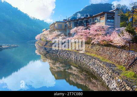 Kyoto, Japon - avril 1 2023 : Parc préfectoral Uji avec fleur de cerisier en pleine floraison est le symbole de la ville d'Uji avec de beaux paysages de la ville et pr Banque D'Images