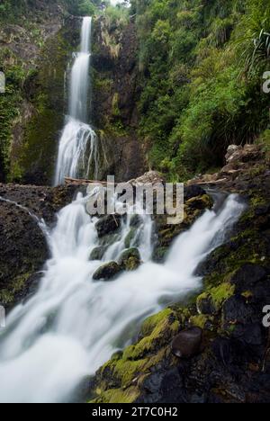 Kitekite Falls, la cascade la plus pittoresque des Waitakere Ranges. Région d'Auckland, Île du Nord, Nouvelle-Zélande Banque D'Images