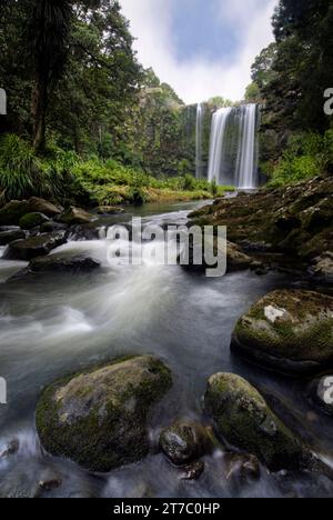 Prise de vue longue exposition de Whangarei Falls est une majestueuse cascade de 26 mètres qui tombe en cascade sur des falaises de basalte. Whangarei, Northland, Nouvelle-Zélande Banque D'Images