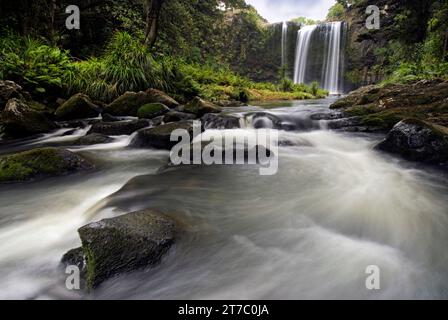 Prise de vue longue exposition de Whangarei Falls est une majestueuse cascade de 26 mètres qui tombe en cascade sur des falaises de basalte. Whangarei, Northland, Nouvelle-Zélande Banque D'Images