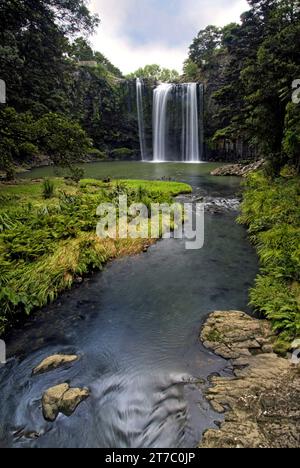 Prise de vue longue exposition de Whangarei Falls est une majestueuse cascade de 26 mètres qui tombe en cascade sur des falaises de basalte. Whangarei, Northland, Nouvelle-Zélande Banque D'Images