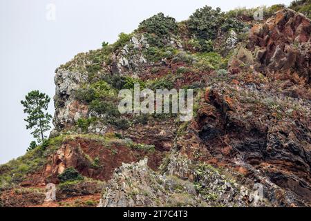 Roches de lave altérées sur les falaises, envahis de plantes, près de Paul do Mar, Madère, Portugal Banque D'Images