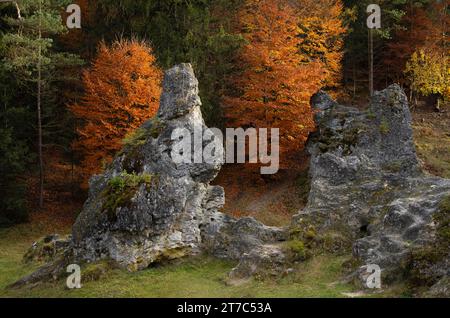 Roches de dolomite, mer de roches, Wental, atmosphère d'automne, automne, Barholomae, Baden-Wuerttemberg, Allemagne Banque D'Images