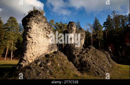 Roches de dolomite, mer de roches, Wental, Barholomae, Baden-Wuerttemberg, Allemagne Banque D'Images