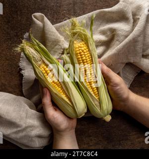 Vue de dessus de la personne tenant le maïs Banque D'Images