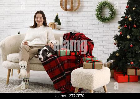 Belle jeune femme avec chiot mignon Staffordshire Terrier à la maison la veille de Noël Banque D'Images