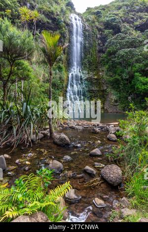 Longue exposition de Karekare Falls, Waitakere Ranges Regional Park, Auckland, Nouvelle-Zélande. Banque D'Images