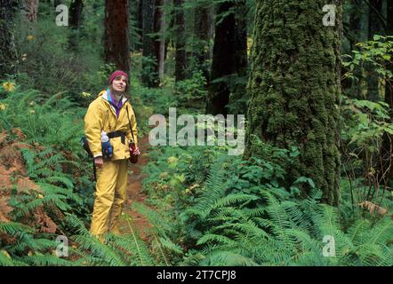 Sentier des Chutes du Kentucky, Kentucky Falls Zone d'intérêt spécial, forêt nationale de Siuslaw, Oregon Banque D'Images