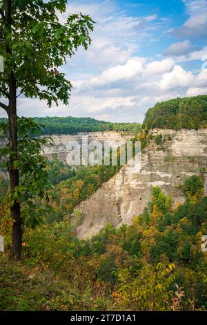 « Grand Canyon de l'est », Letchworth State Park dans l'État de New York Banque D'Images