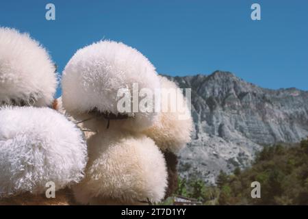 Focus sur les papakhas blanches (chapeau de laine traditionnel) avec des montagnes caucasiennes sur fond Banque D'Images