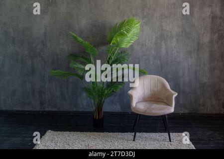 Chaise de bureau et palmier vert à l'intérieur de la pièce grise Banque D'Images