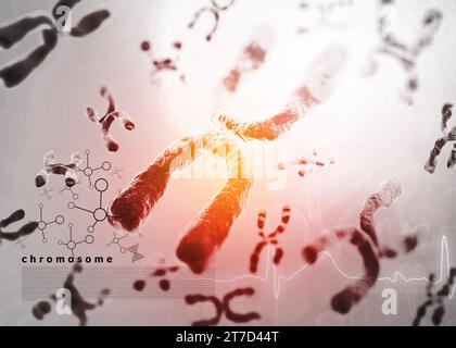 Fond des chromosomes XY. illustration 3d. Banque D'Images