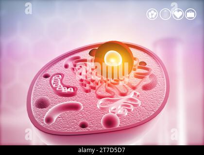 Anatomie d'une cellule sur fond scientifique. illustration 3d. Banque D'Images