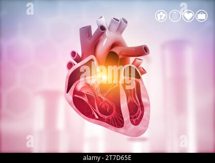 Coupe transversale du diagramme du coeur humain sur le fond médical. illustration 3d. Banque D'Images