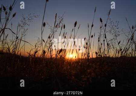 Pékin, Chine. 14 novembre 2023. Cette photo prise le 14 novembre 2023 montre le coucher du soleil vu depuis la Grande Muraille Gubeikou à Pékin, capitale de la Chine. Crédit : Chen Bin/Xinhua/Alamy Live News Banque D'Images