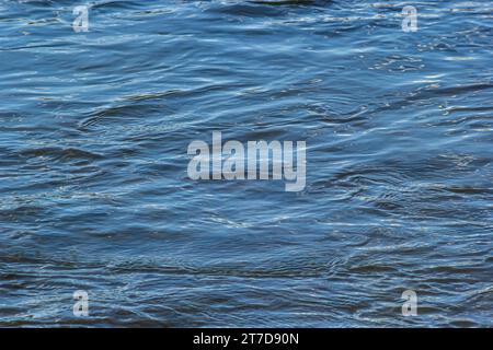 contexte. effet de flou artistique. reflet du ciel dans un lac de rivière. Banque D'Images