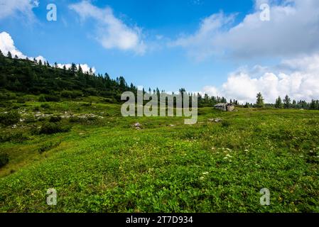 Refuge alpin au Mont Ortigara, théâtre de la première Guerre mondiale, parmi les champs verts et les pâturages sur le plateau atypique Asiago Vicence Veneto Banque D'Images