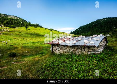 Refuge alpin au Mont Ortigara, théâtre de la première Guerre mondiale, parmi les champs verts et les pâturages sur le plateau atypique Asiago Vicence Veneto Banque D'Images