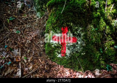 Croix rouge peinte sur un rocher couvert de mousse à Rotzo sur le plateau Asiago Vicence Veneto Italie Banque D'Images