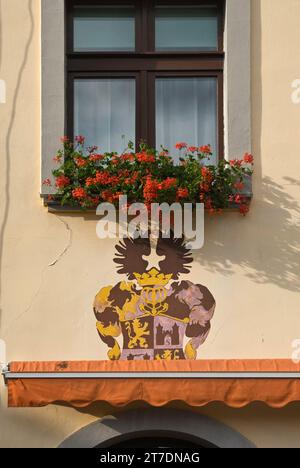 Armoiries à la maison bourgeoise à Rynek (place du marché) à Żagań, Lubuskie Voivodeship, Pologne Banque D'Images