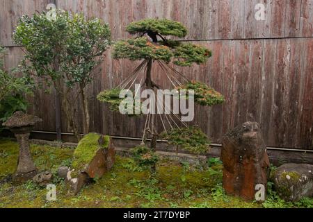 Ancienne maison de style japonais avec un beau jardin situé dans le village de Shukunegi. Banque D'Images